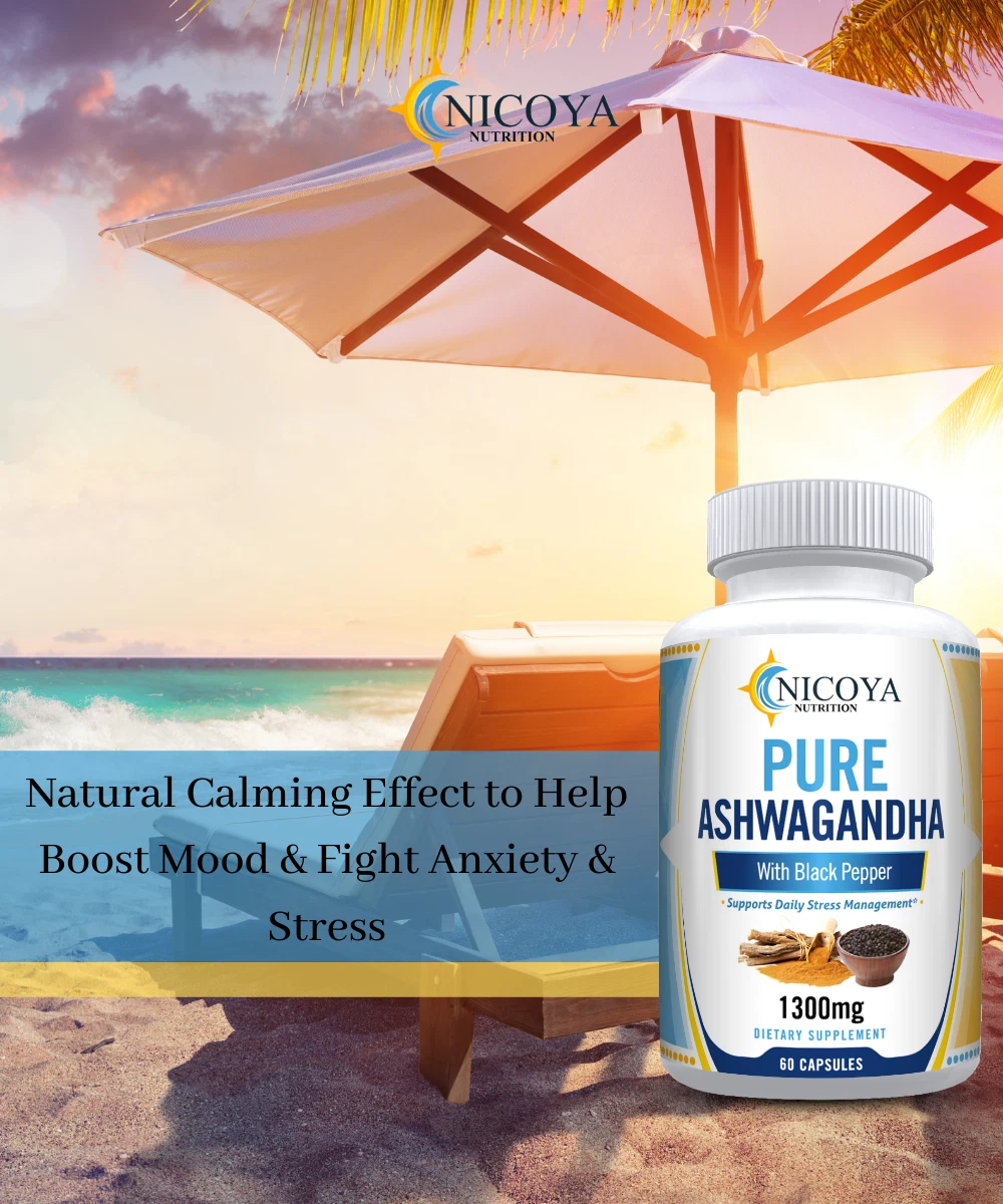 Bottle of Ashwagandha Supplement for Stress & Calm Support – 1300mg, 60ct to support health and wellness