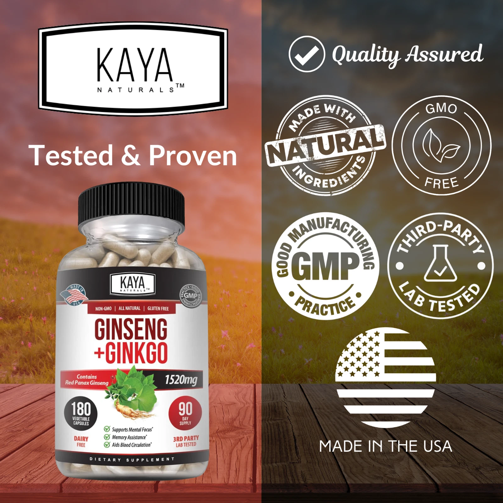 Image of Ginkgo Biloba & Red Panax Ginseng for Brain & Memory Support – Focus Supplement