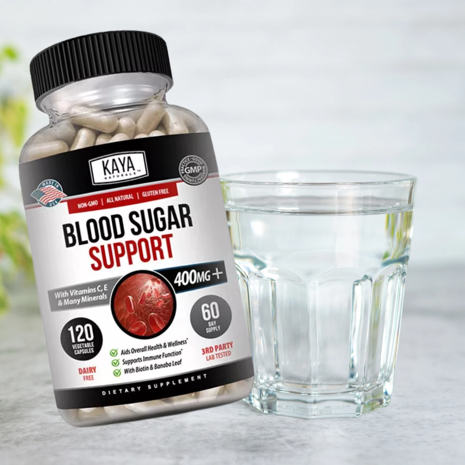 Image of Blood Sugar Support Supplement with Alpha Lipoic Acid – 120 Capsules